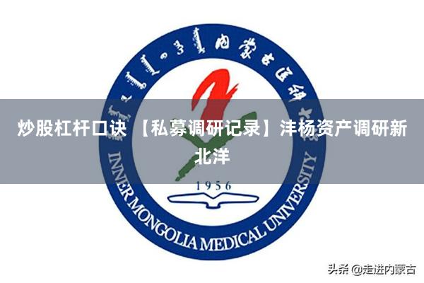 炒股杠杆口诀 【私募调研记录】沣杨资产调研新北洋
