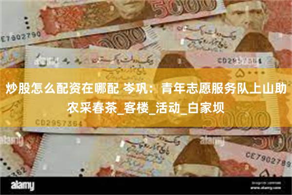 炒股怎么配资在哪配 岑巩：青年志愿服务队上山助农采春茶_客楼_活动_白家坝