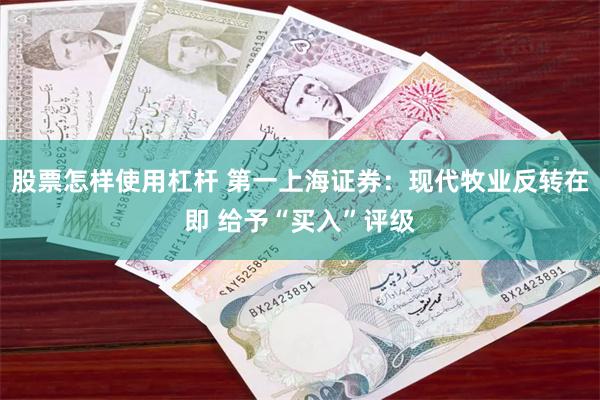 股票怎样使用杠杆 第一上海证券：现代牧业反转在即 给予“买入”评级