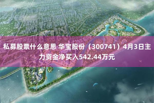 私募股票什么意思 华宝股份（300741）4月3日主力资金净买入542.44万元