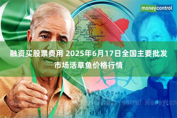 融资买股票费用 2025年6月17日全国主要批发市场活草鱼价格行情