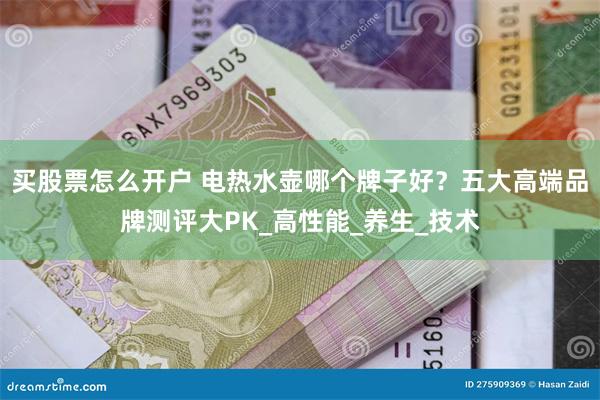 买股票怎么开户 电热水壶哪个牌子好？五大高端品牌测评大PK_高性能_养生_技术