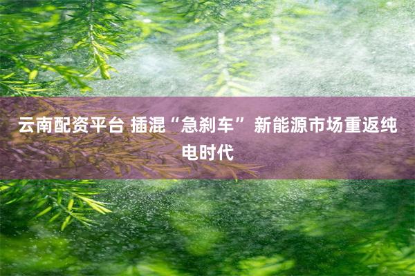 云南配资平台 插混“急刹车” 新能源市场重返纯电时代