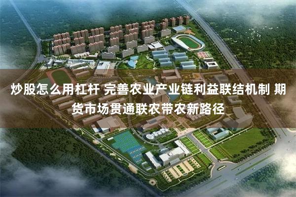 炒股怎么用杠杆 完善农业产业链利益联结机制 期货市场贯通联农带农新路径