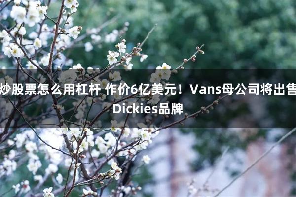 炒股票怎么用杠杆 作价6亿美元！Vans母公司将出售Dickies品牌