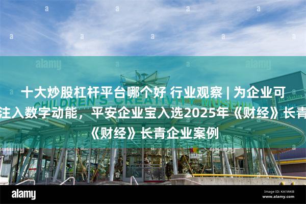 十大炒股杠杆平台哪个好 行业观察 | 为企业可持续发展注入数字动能，平安企业宝入选2025年《财经》长青企业案例