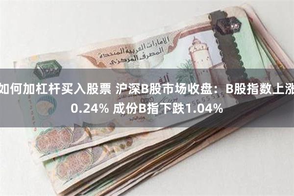 如何加杠杆买入股票 沪深B股市场收盘：B股指数上涨0.24% 成份B指下跌1.04%