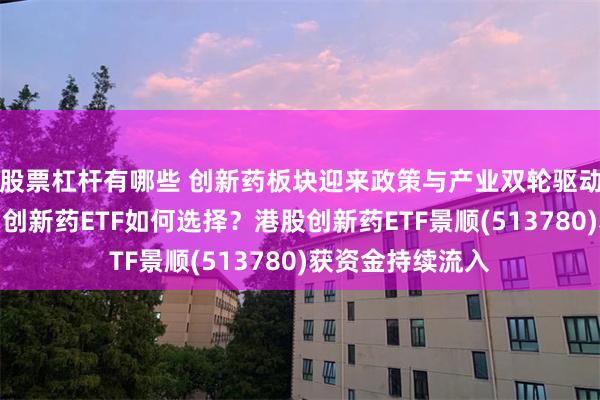 股票杠杆有哪些 创新药板块迎来政策与产业双轮驱动的关键窗口期，创新药ETF如何选择？港股创新药ETF景顺(513780)获资金持续流入