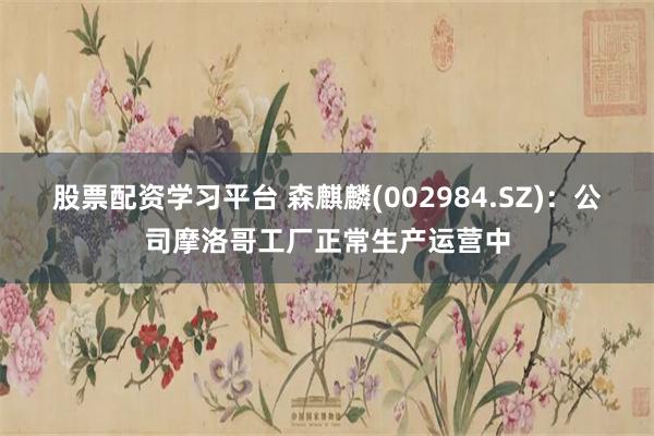 股票配资学习平台 森麒麟(002984.SZ)：公司摩洛哥工厂正常生产运营中