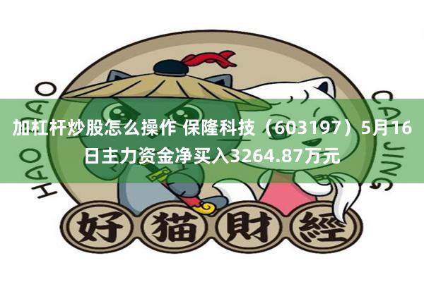 加杠杆炒股怎么操作 保隆科技（603197）5月16日主力资金净买入3264.87万元