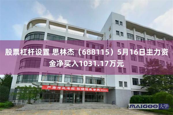股票杠杆设置 思林杰（688115）5月16日主力资金净买入1031.17万元