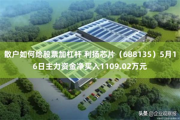 散户如何给股票加杠杆 利扬芯片（688135）5月16日主力资金净买入1109.02万元