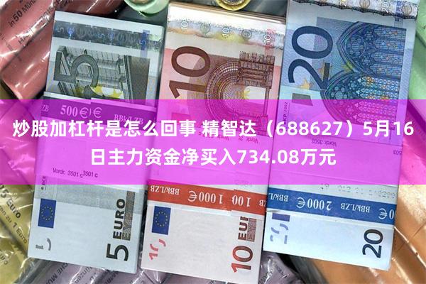 炒股加杠杆是怎么回事 精智达（688627）5月16日主力资金净买入734.08万元