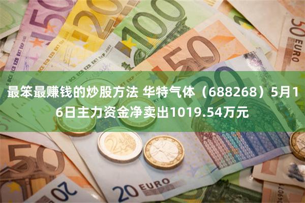 最笨最赚钱的炒股方法 华特气体（688268）5月16日主力资金净卖出1019.54万元