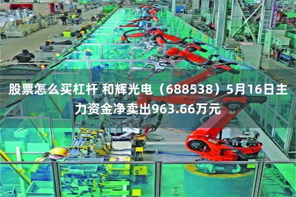 股票怎么买杠杆 和辉光电（688538）5月16日主力资金净卖出963.66万元