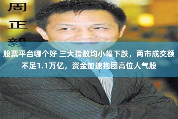 股票平台哪个好 三大指数均小幅下跌，两市成交额不足1.1万亿，资金加速抱团高位人气股
