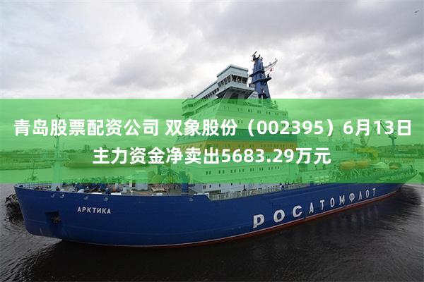 青岛股票配资公司 双象股份（002395）6月13日主力资金净卖出5683.29万元