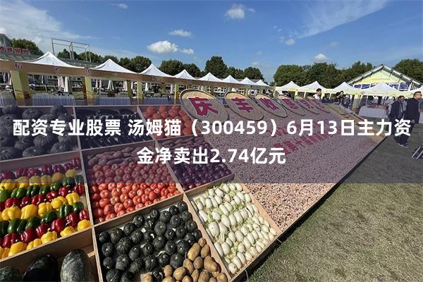 配资专业股票 汤姆猫（300459）6月13日主力资金净卖出2.74亿元