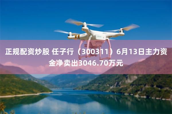正规配资炒股 任子行（300311）6月13日主力资金净卖出3046.70万元