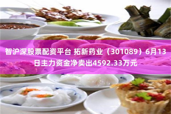 智沪深股票配资平台 拓新药业（301089）6月13日主力资金净卖出4592.33万元