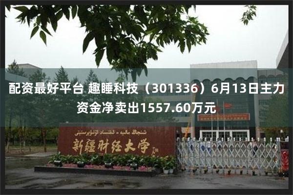 配资最好平台 趣睡科技（301336）6月13日主力资金净卖出1557.60万元