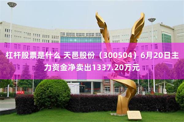 杠杆股票是什么 天邑股份（300504）6月20日主力资金净卖出1337.20万元