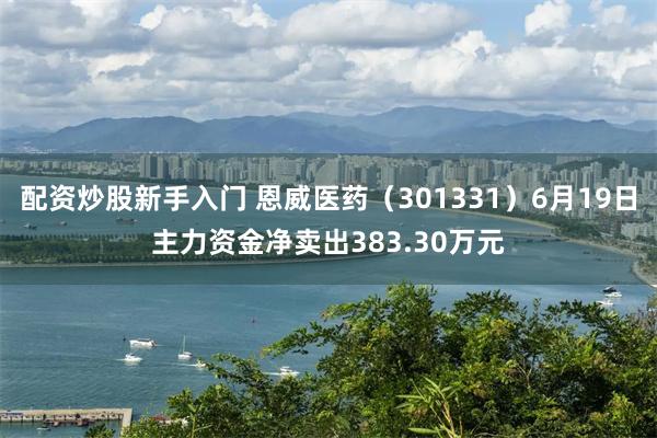 配资炒股新手入门 恩威医药（301331）6月19日主力资金净卖出383.30万元