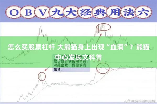 怎么买股票杠杆 大熊猫身上出现“血洞”？熊猫中心发长文科普