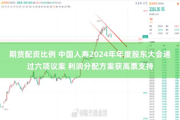 期货配资比例 中国人寿2024年年度股东大会通过六项议案 利润分配方案获高票支持