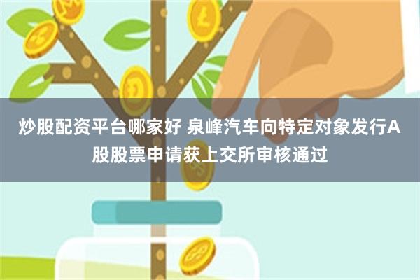 炒股配资平台哪家好 泉峰汽车向特定对象发行A股股票申请获上交所审核通过
