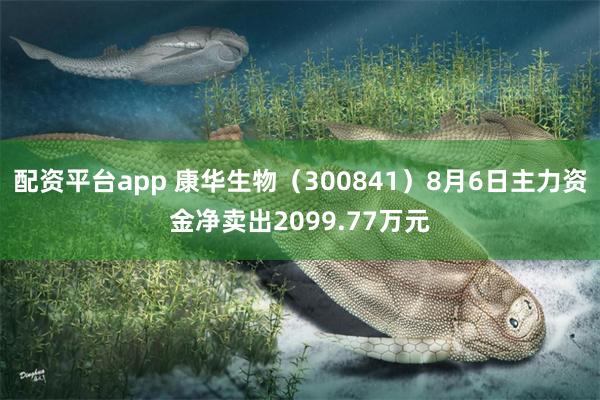 配资平台app 康华生物（300841）8月6日主力资金净卖出2099.77万元