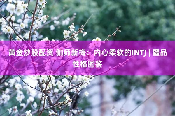 黄金炒股配资 伽师新梅：内心柔软的INTJ | 疆品性格图鉴