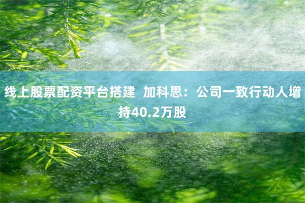 线上股票配资平台搭建  加科思：公司一致行动人增持40.2万股