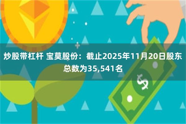 炒股带杠杆 宝莫股份：截止2025年11月20日股东总数为35,541名