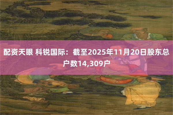 配资天眼 科锐国际：截至2025年11月20日股东总户数14,309户