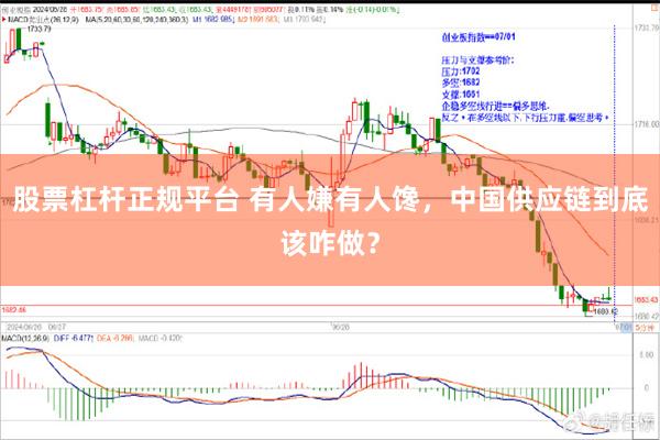 股票杠杆正规平台 有人嫌有人馋，中国供应链到底该咋做？