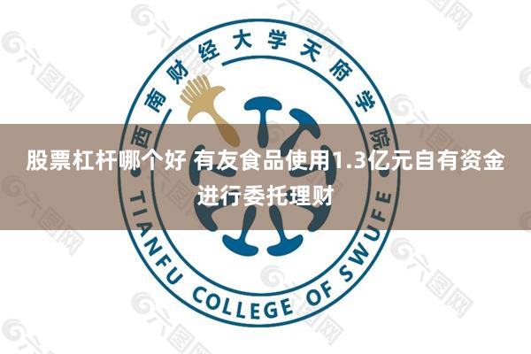 股票杠杆哪个好 有友食品使用1.3亿元自有资金进行委托理财