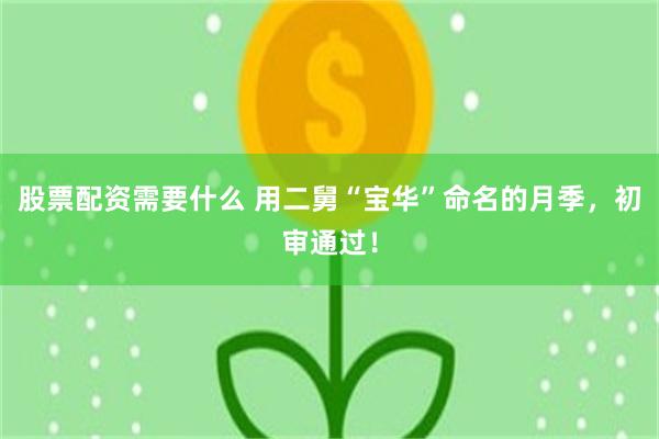股票配资需要什么 用二舅“宝华”命名的月季，初审通过！