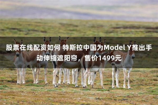 股票在线配资如何 特斯拉中国为Model Y推出手动伸缩遮阳帘，售价1499元