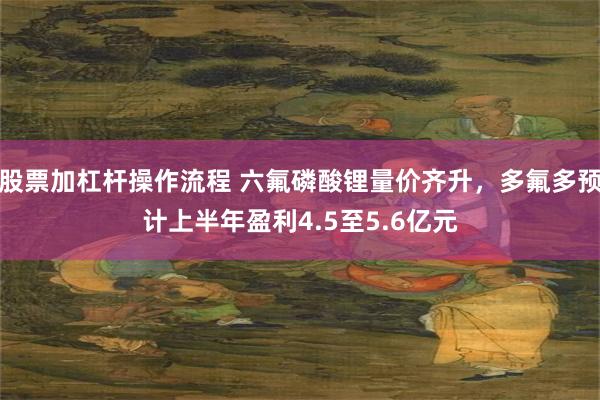 股票加杠杆操作流程 六氟磷酸锂量价齐升，多氟多预计上半年盈利4.5至5.6亿元