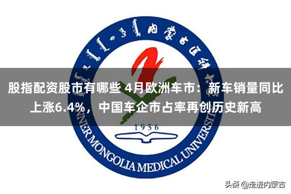 股指配资股市有哪些 4月欧洲车市:新车销量同比上涨6.4%,中国车企市占率再创历史新高