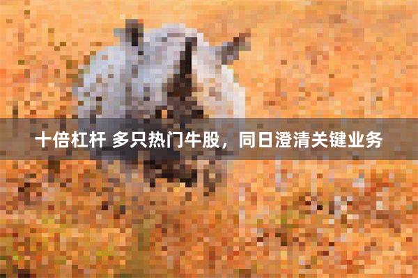 十倍杠杆 多只热门牛股，同日澄清关键业务