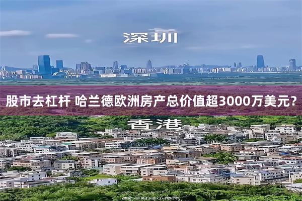 股市去杠杆 哈兰德欧洲房产总价值超3000万美元?
