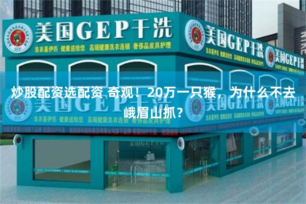 炒股配资选配资 奇观！20万一只猴，为什么不去峨眉山抓？