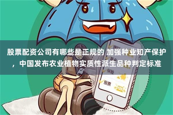 股票配资公司有哪些是正规的 加强种业知产保护,中国发布农业植物实质性派生品种判定标准
