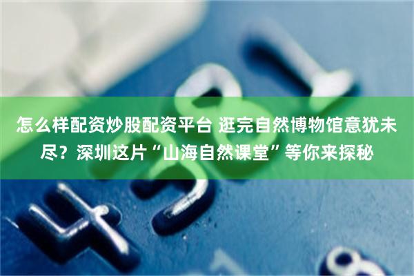 怎么样配资炒股配资平台 逛完自然博物馆意犹未尽？深圳这片“山海自然课堂”等你来探秘