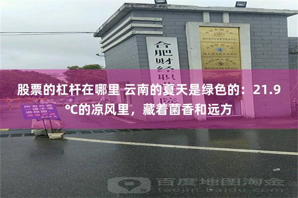 股票的杠杆在哪里 云南的夏天是绿色的：21.9℃的凉风里，藏着菌香和远方