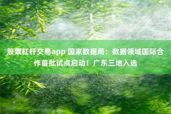 股票杠杆交易app 国家数据局：数据领域国际合作首批试点启动！广东三地入选