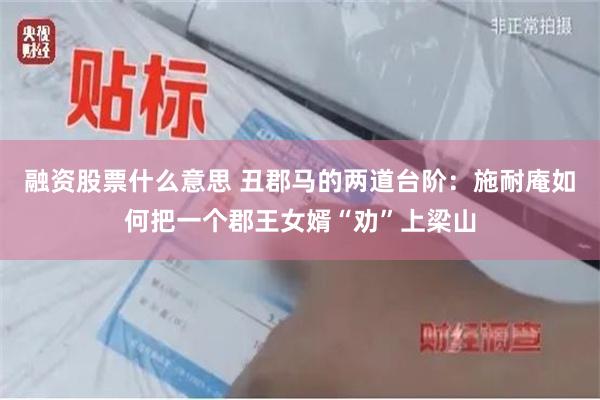 融资股票什么意思 丑郡马的两道台阶：施耐庵如何把一个郡王女婿“劝”上梁山