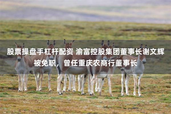 股票操盘手杠杆配资 渝富控股集团董事长谢文辉被免职，曾任重庆农商行董事长